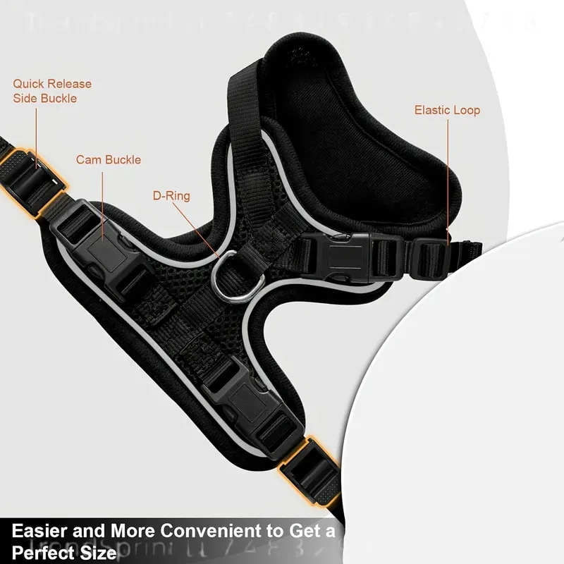 Set Tali dan Harness Kucing An - Outdoor Adventure Wear ulasan dan harga